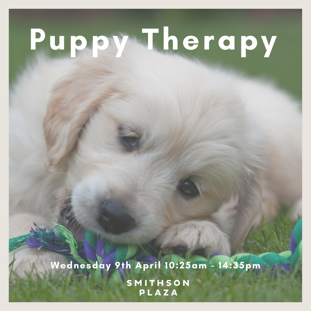 Tenant Puppy Therapy
